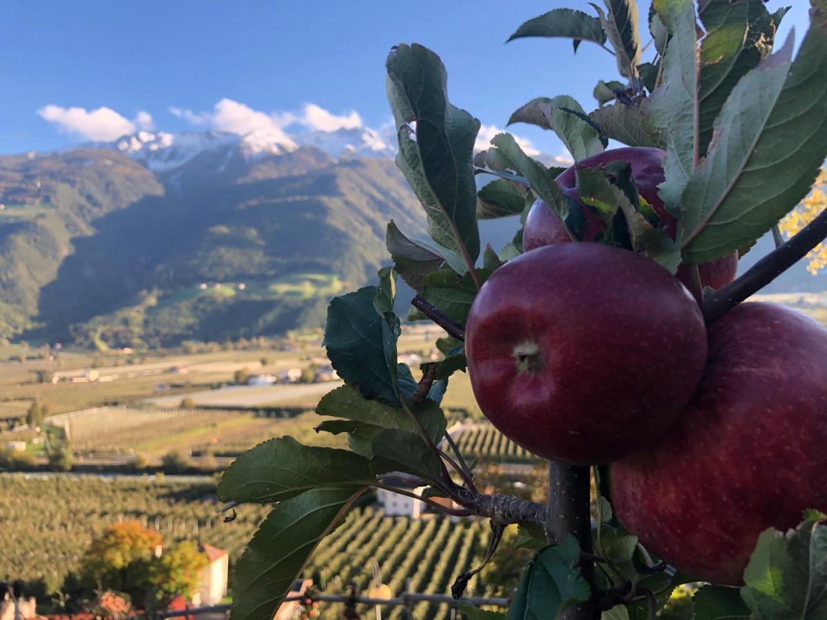 Haus Talblick "Wallbug" Ferienwohnung 1 Naturns Bagian luar foto
